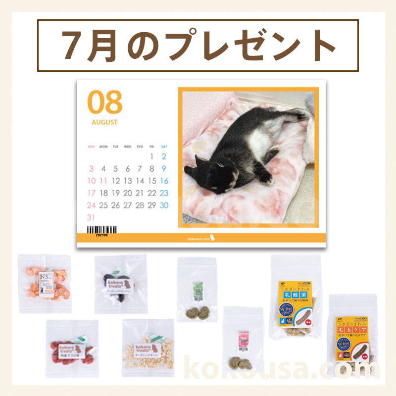今月のプレゼント