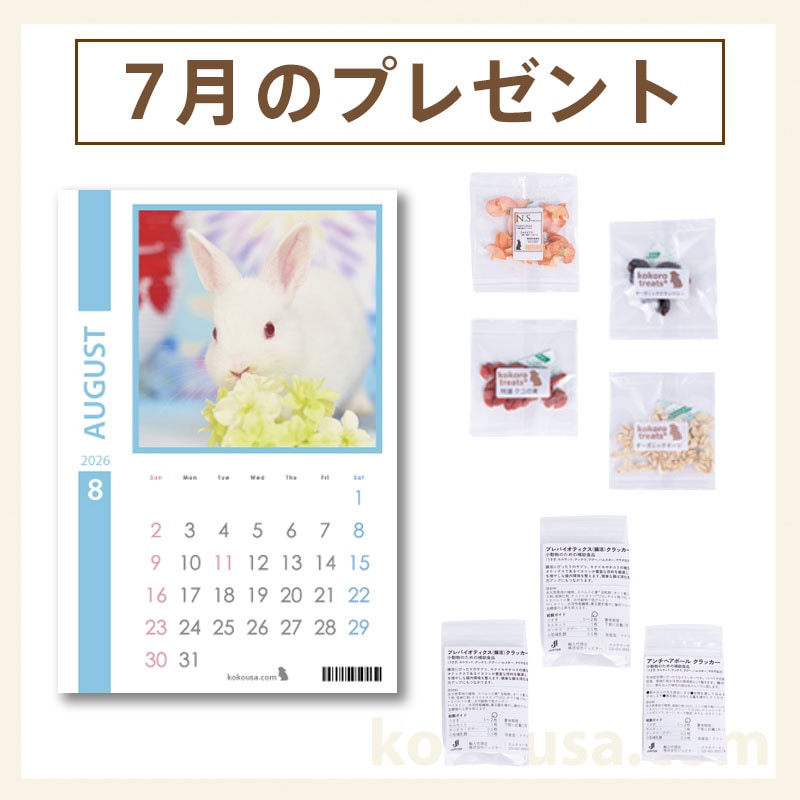 今月のプレゼント