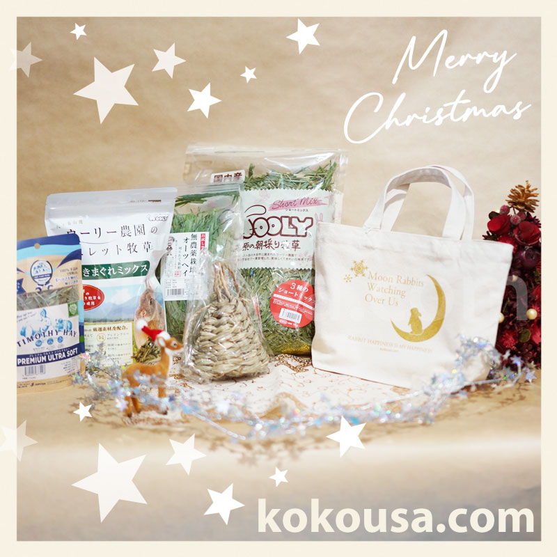 クリスマス限定セット（Aセット）