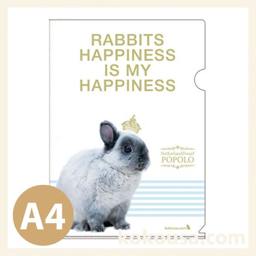 2017 Rabbits happiness A4クリアファイル