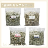おためし牧草】クレイングラス 130g CG-J01の通販はココロのおうち