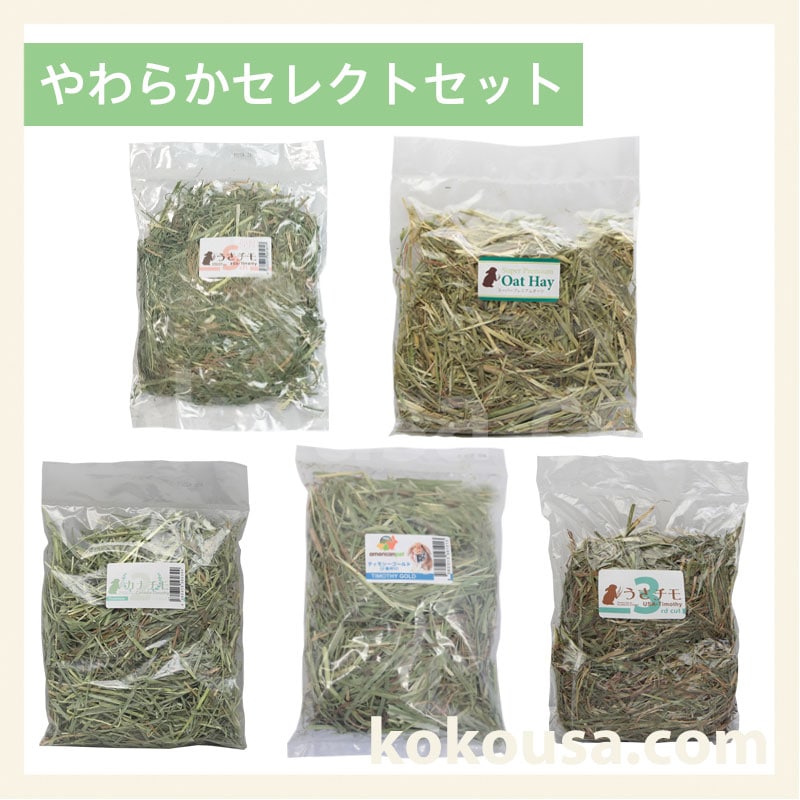 【おためし牧草】やわらかセレクトセット
