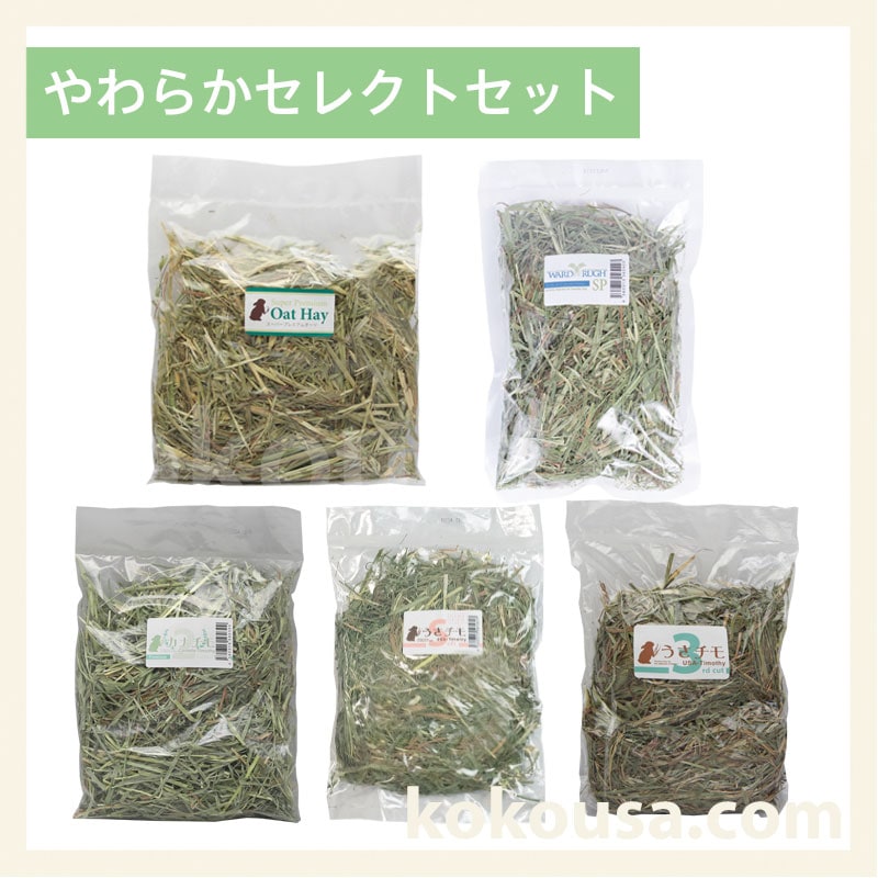 【おためし牧草】やわらかセレクトセット