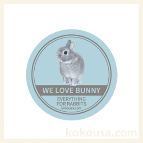 Kaiくんマグネット We Love Bunny