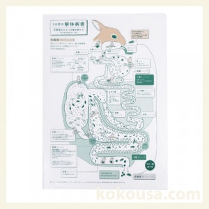 スキルスクリーン 『 うさぎ 』 未開封品 元廣 スキル スクリーン