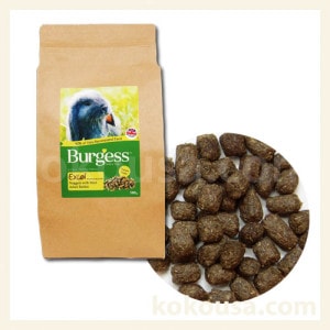 冷凍ラット アダルトL (180~220g) 30匹 まとめ売り 楽天市場】【クール