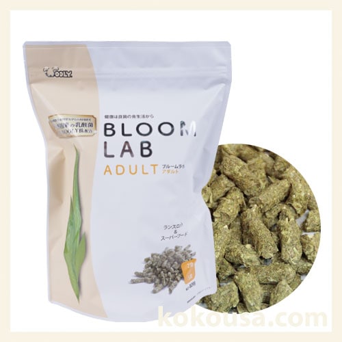 ウーリー ブルームラボ　アダルト