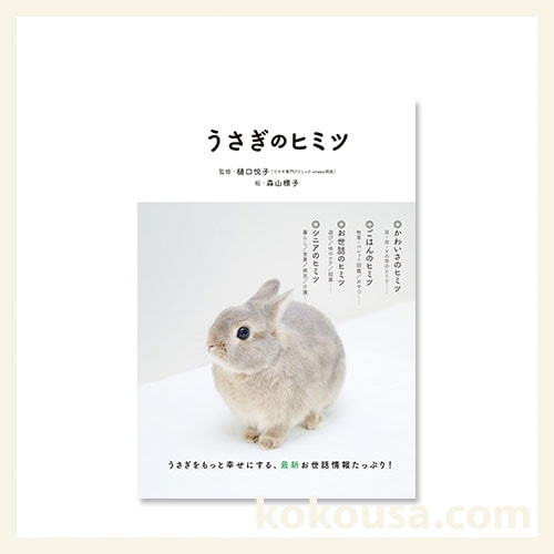 うさぎのヒミツ