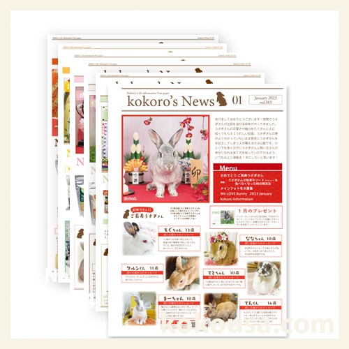 kokoro’s newsセット　vol.183からvol.188