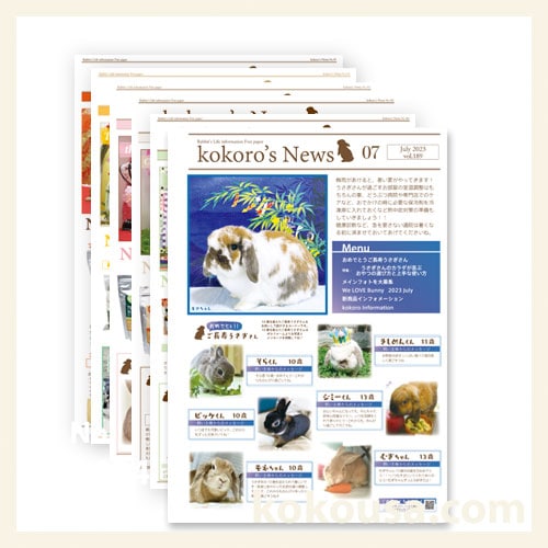 kokoro’s newsセット　vol.189からvol.194