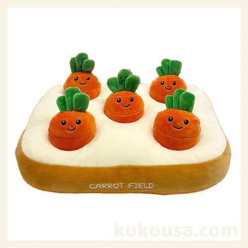 ノーズワーク　わんパクッ！にんじん畑