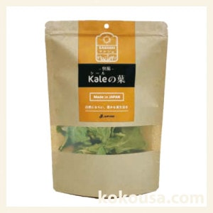 そのまんま天日干し パパイヤの葉 30gの通販はココロのおうち