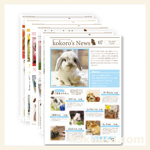 kokoro’s newsセット　vol.201からvol.206（あるものだけセット）