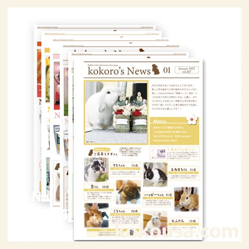 kokoro’s newsセット　vol.207からvol.212