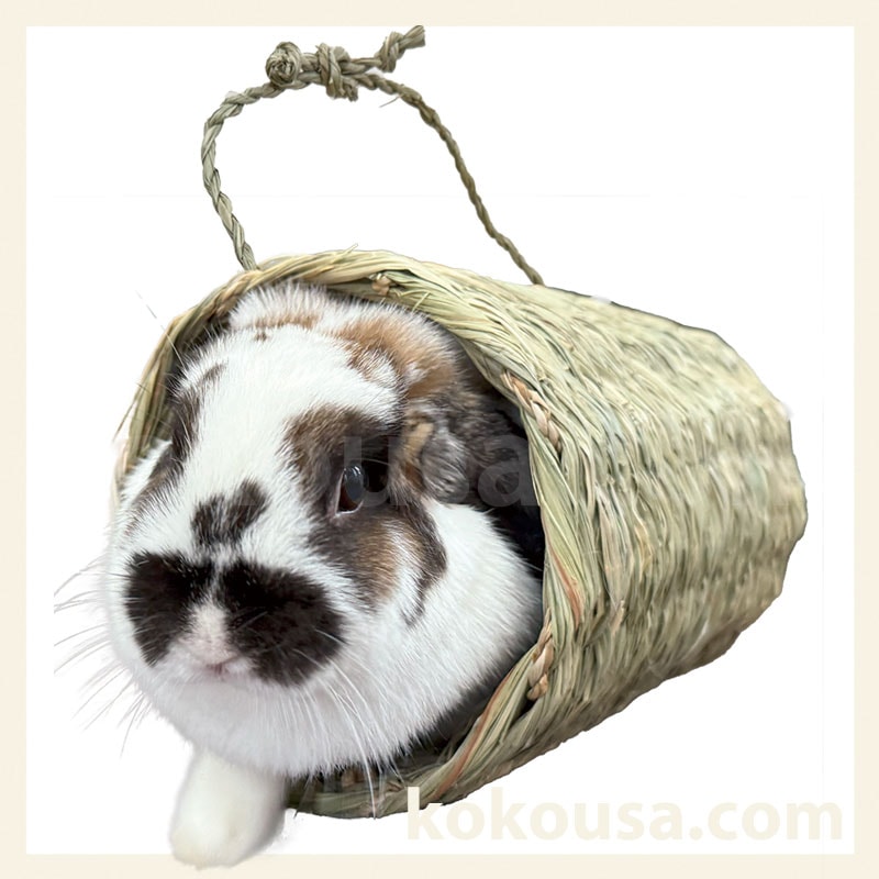 【わらっこ倶楽部】くぐるの大好きチューブ