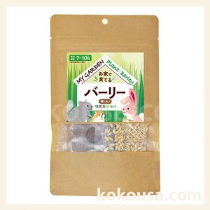 マイガーデン 牧草栽培セット イタリアンライグラスの通販はココロのおうち