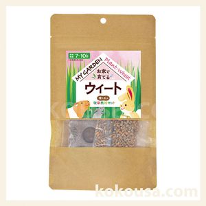 mimiです イタリアンライグラス 70g✖️10 マイガーデン 牧草栽培セット イタリアンライグラスの通販はココロのおうち