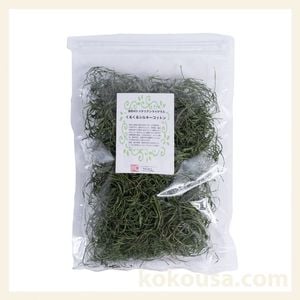 GEX旬牧草（イタリアンライグラス） 120gの通販はココロのおうち