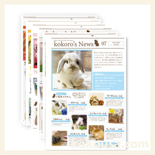 kokoro’s newsセット　vol.213からvol.218