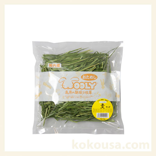 【2019年度産】【おためし牧草】高原の麦 ヤング 50g