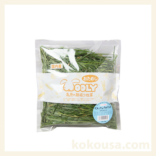 【2017年度産】【おためし牧草】高原のイタリアンライグラス ミディアムソフト 40g