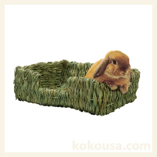 【わらっこ倶楽部】ごろ寝ソファー