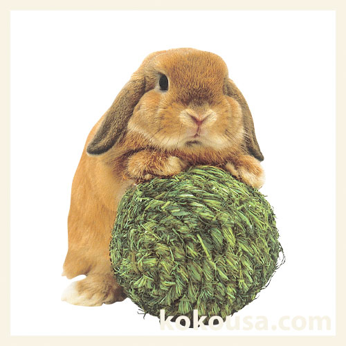 【わらっこ倶楽部】りんりんボール