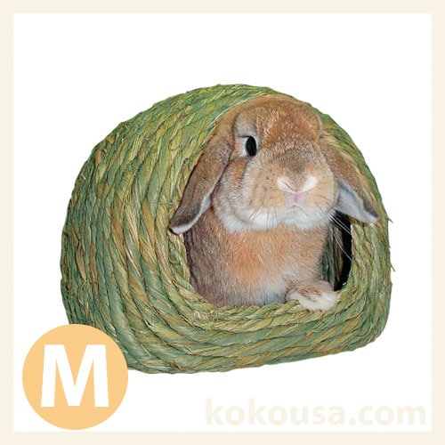 【わらっこ倶楽部】かまくらハウス M