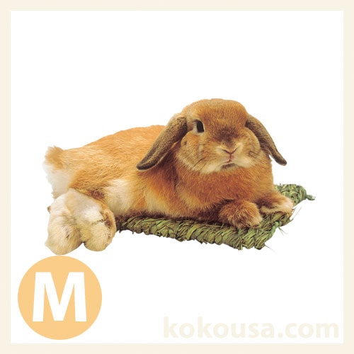 【わらっこ倶楽部】うさぎの座ぶとん M