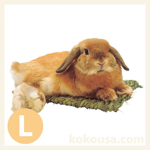 【わらっこ倶楽部】うさぎの座ぶとん L
