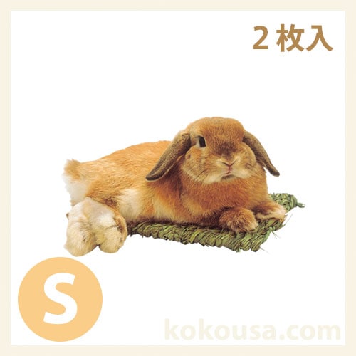 【わらっこ倶楽部】うさぎの座ぶとん S 2枚入