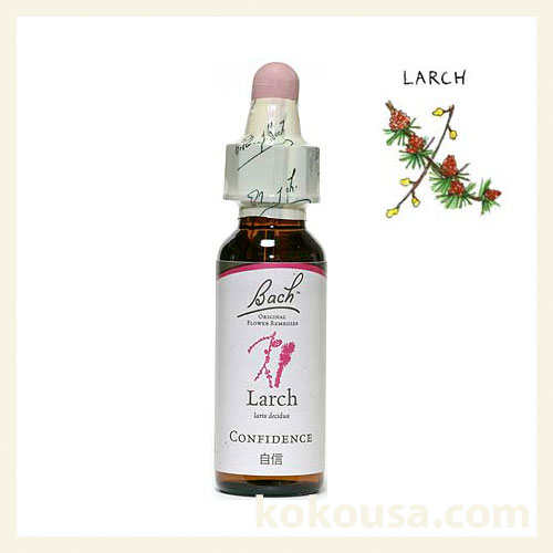 【バッチフラワーレメディ】ラーチ 10ml