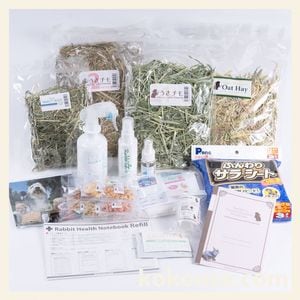 初めてのお客様限定！お試しセットの通販はココロのおうち