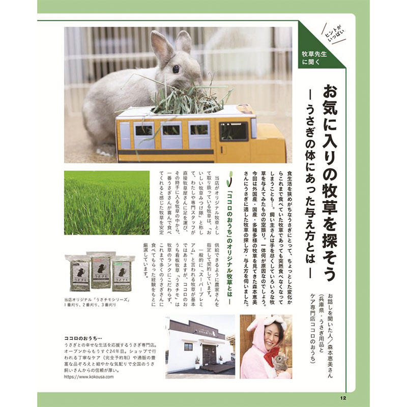 Apple - うさぎ Amazon.co.jp: OLIDI 秋と冬の漫画ぬいぐるみ出っ歯うさぎ