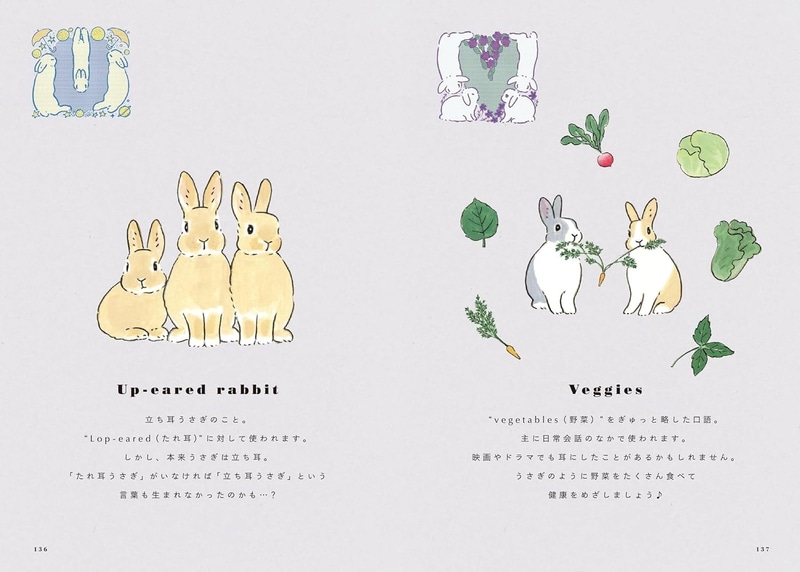 うさぎっしり事典