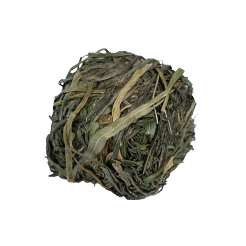 おためし 匠のイタリアンライグラス キューブタイプ 2個