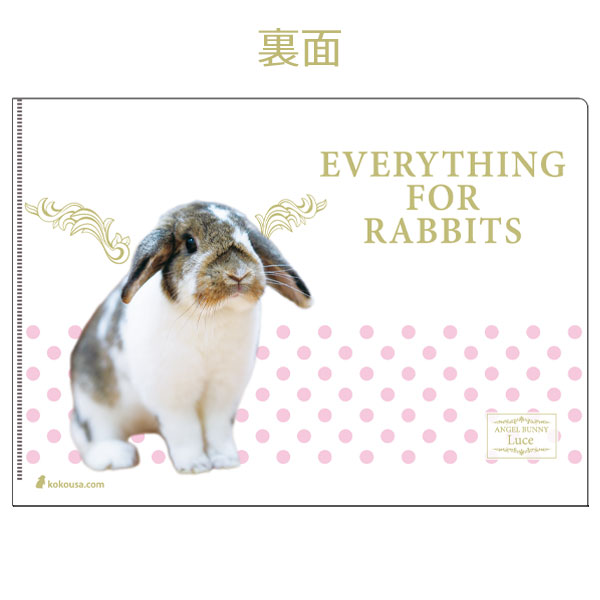 りんごKaiくん Rabbits happiness A4クリアファイル