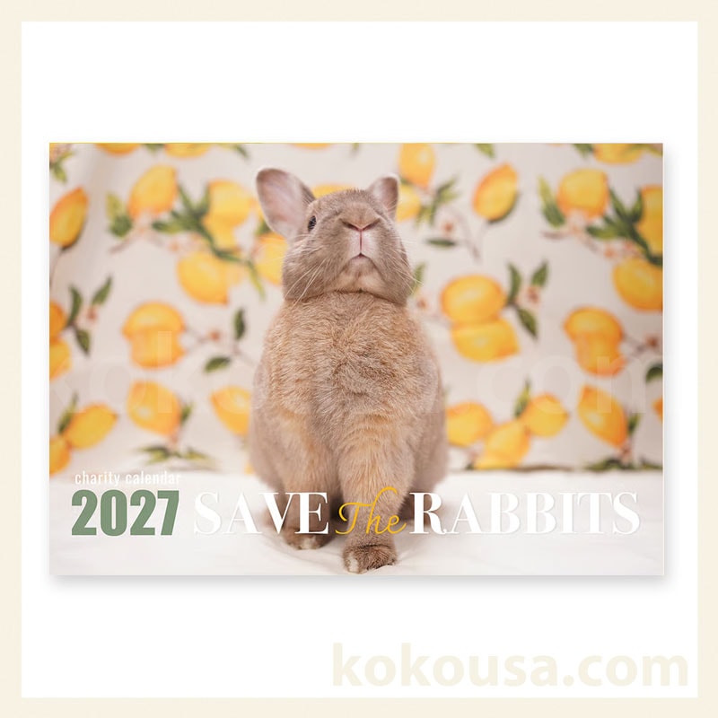 SAVE THE RABBITS チャリティーカレンダー2027
