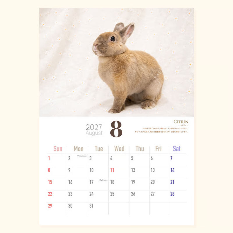 SAVE THE RABBITS チャリティーカレンダー2027