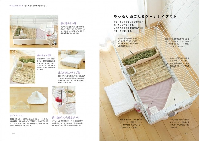 うちのうさぎの老いじたく