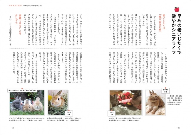 うちのうさぎの老いじたく