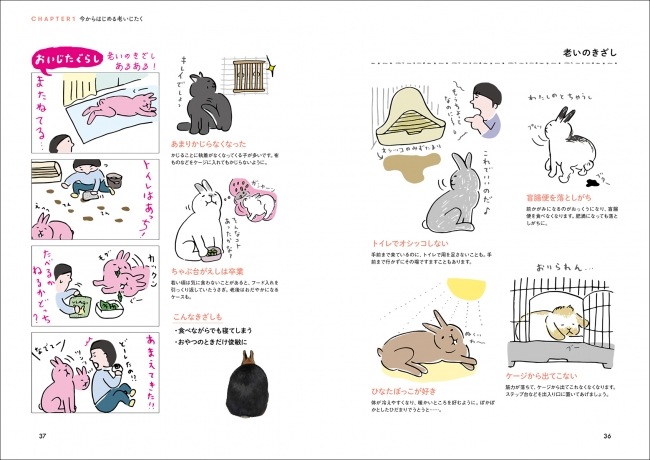 うちのうさぎの老いじたく