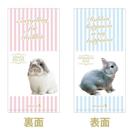 オリジナル チケットホルダー（マスクケース） ダブルポケットの通販は