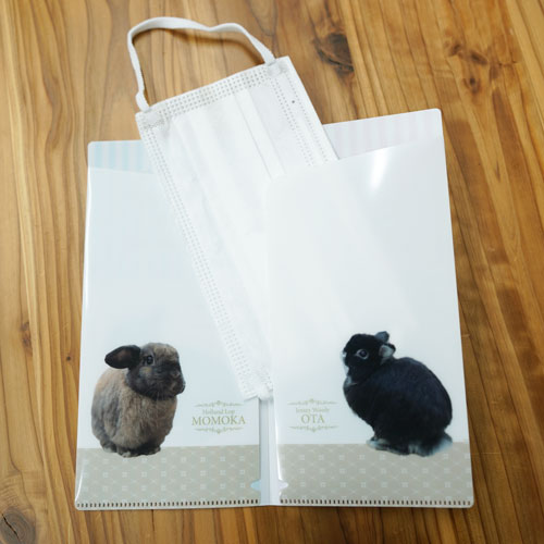 オリジナル チケットホルダー（マスクケース） ダブルポケット