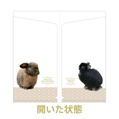 オリジナル チケットホルダー（マスクケース） ダブルポケット