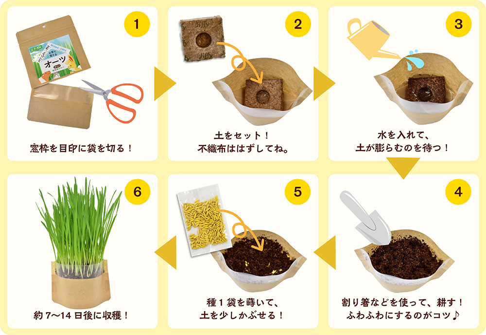 マイガーデン 牧草栽培セット バーリー