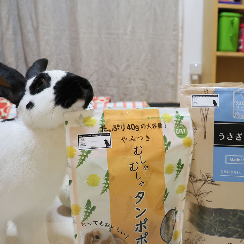 オリジナル開封日シール(小)2シート20枚入り