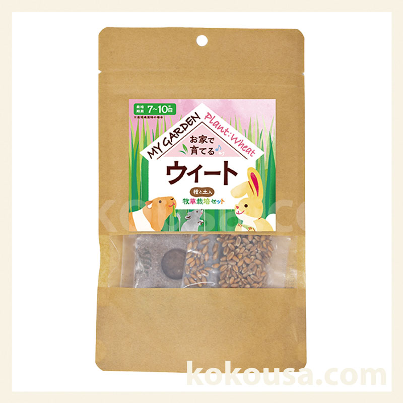 マイガーデン 牧草栽培セット ウィート
