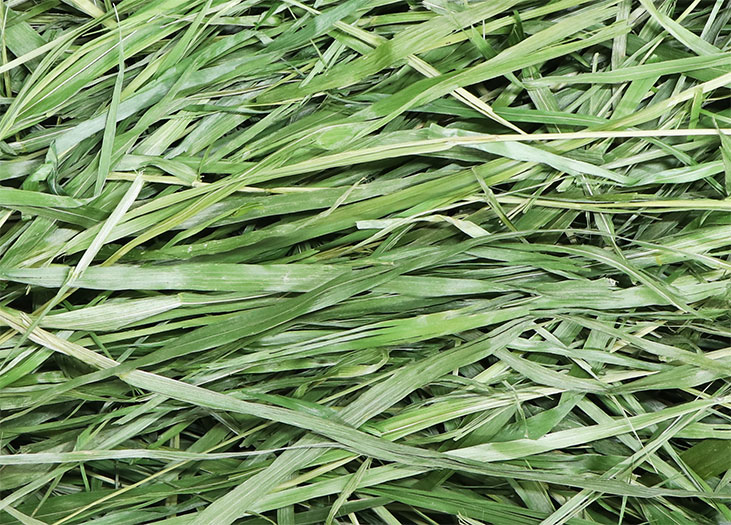 高原の朝採り牧草 4種みっくす 400gの通販はココロのおうち