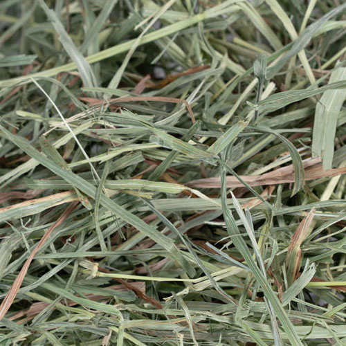 【ワードルー】スーパープレミアムソフトチモシー 600g